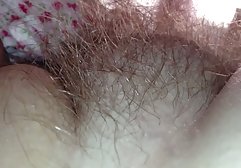 آن کانال های فیلم سکسی تلگرام گربه باردار مودار