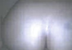 2 برده های Lez لیس معشوقه و گربه معشوقه کانال های تلگرام سکسی